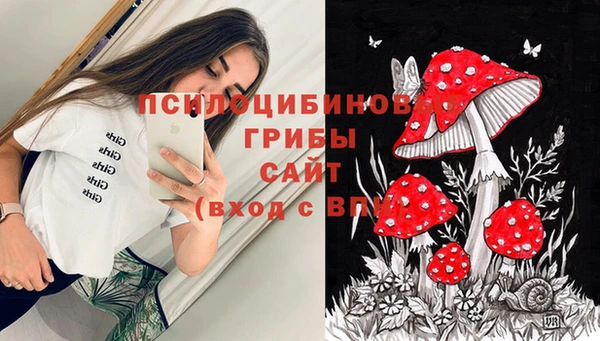 скорость Алексин
